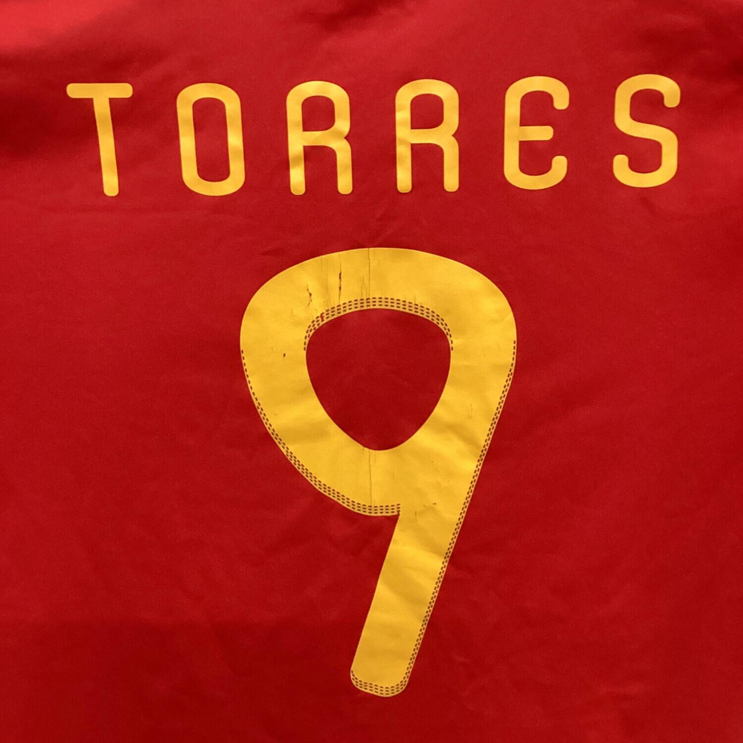 スペイン代表 (スペインダイヒョウ) 2010シーズン ホーム サッカー