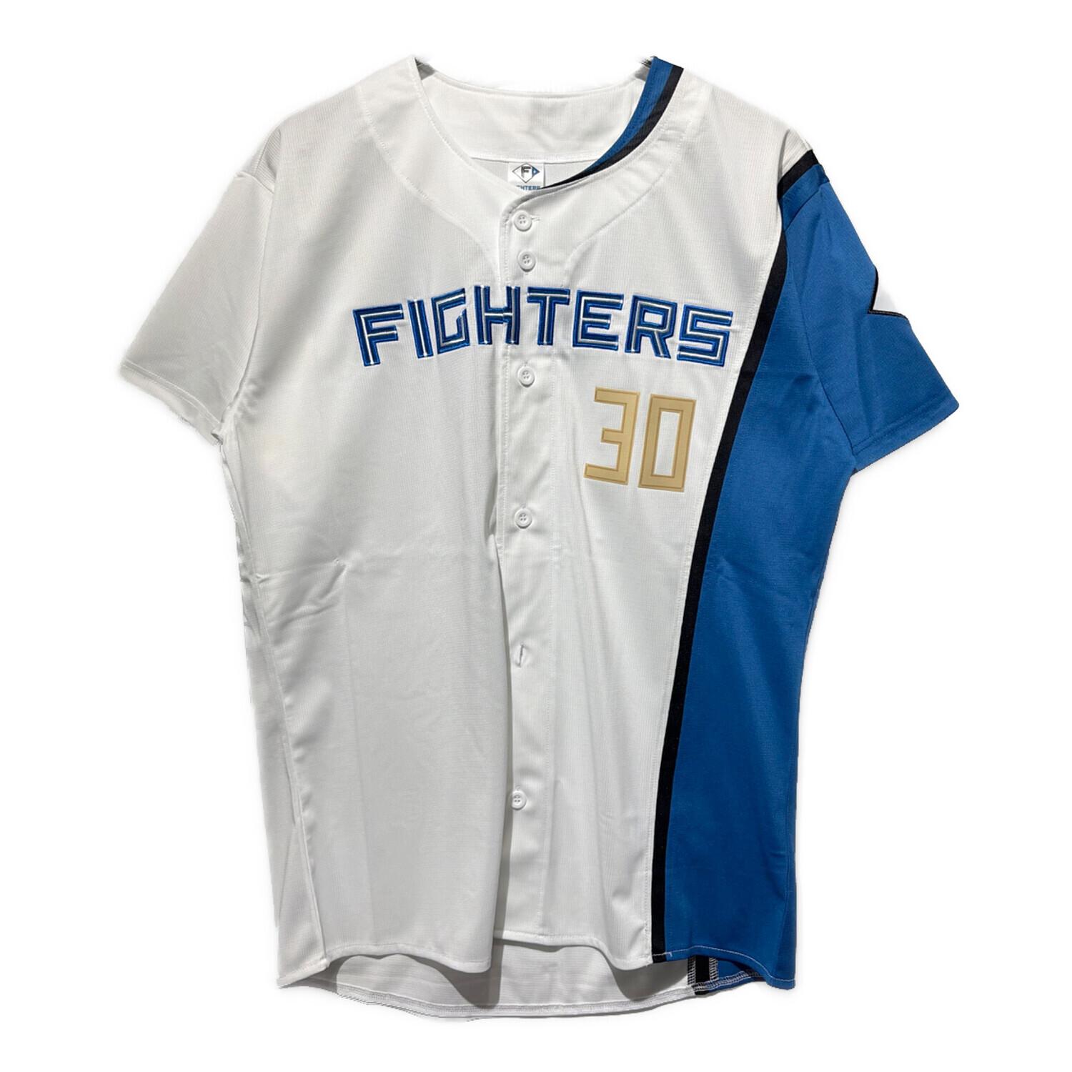 北海道日本ハムファイターズ (ホッカイドウニッポンハムファイターズ