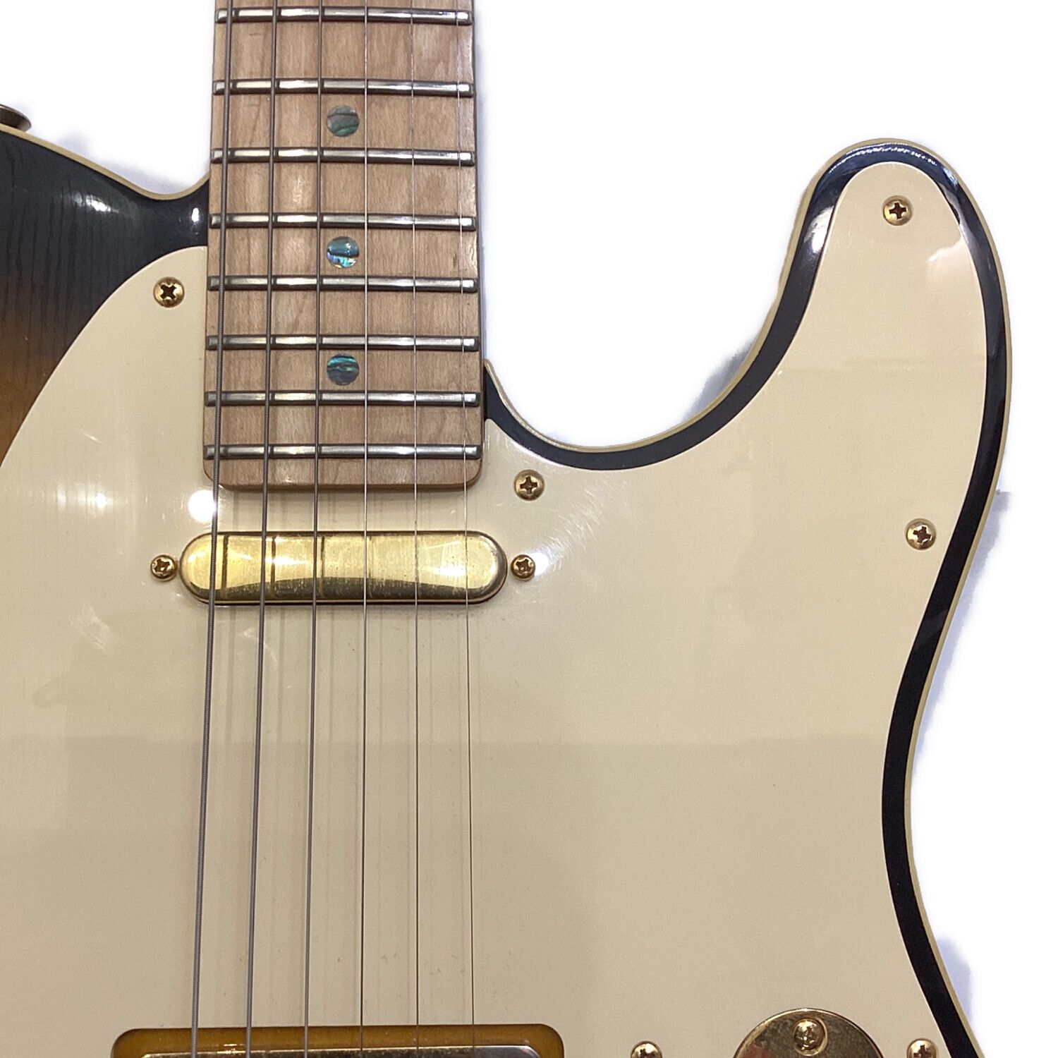 FENDER JAPAN (フェンダージャパン) エレキギター リッチー