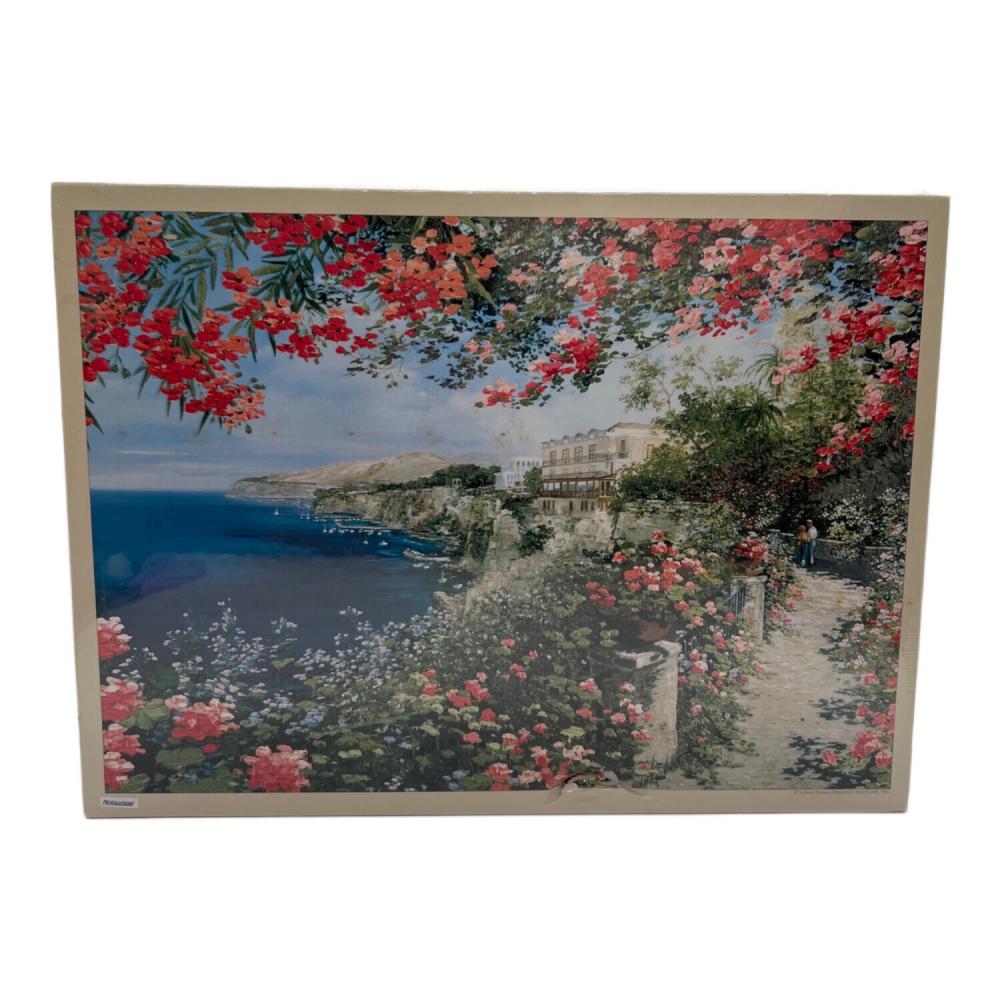 リリアナ・フラスカ ソレント ジグソーパズル 20-75 2014ピース