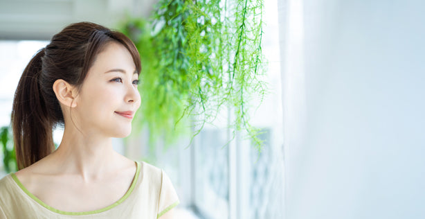 迷ったらコレ！！まずはお試し単発】慧一之水 4L + Waka-ga-El （20日