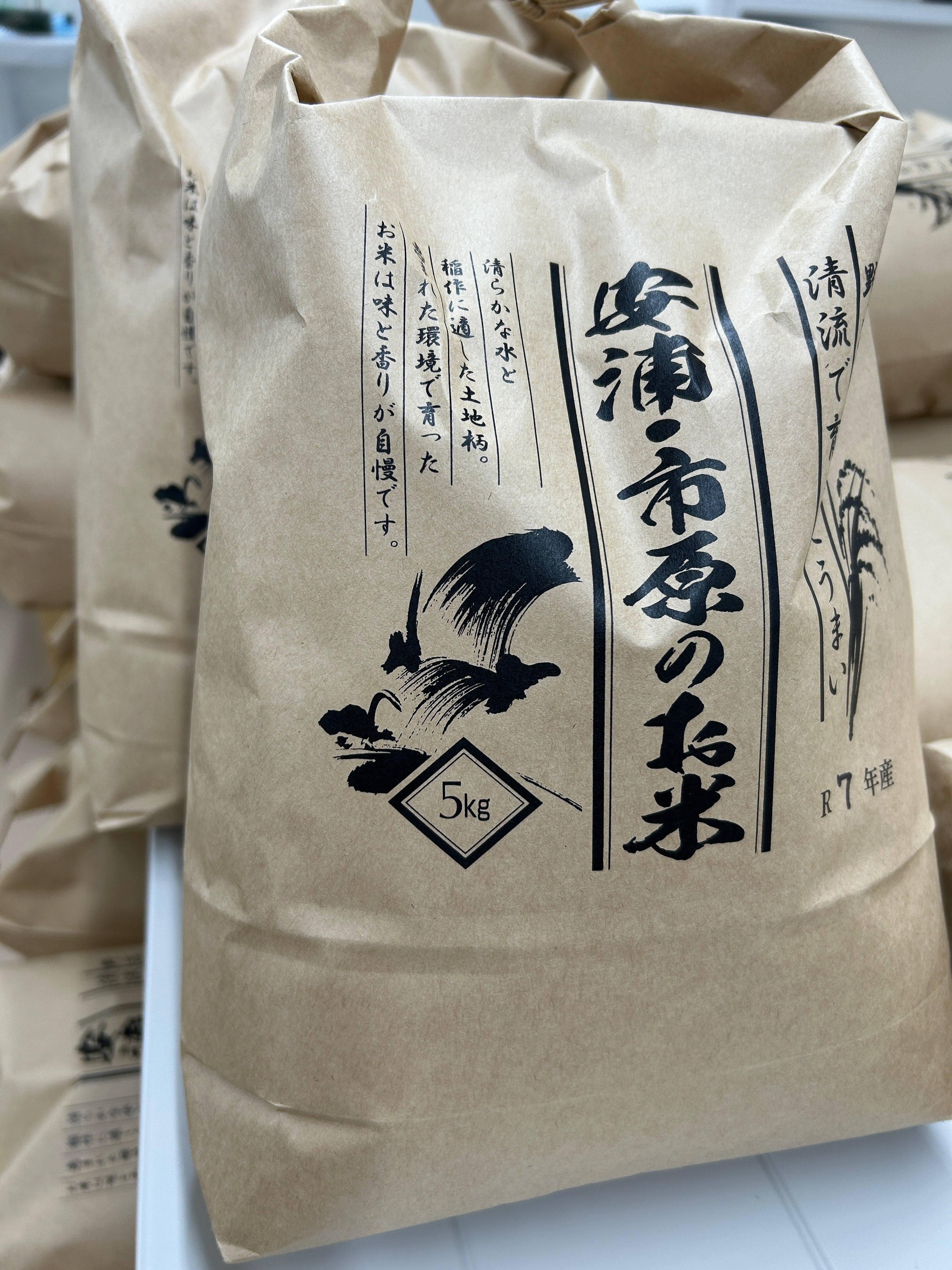 えいちのみずワカガエル 1ヶ月セット 商品 – デトックス革命！ 慧一之