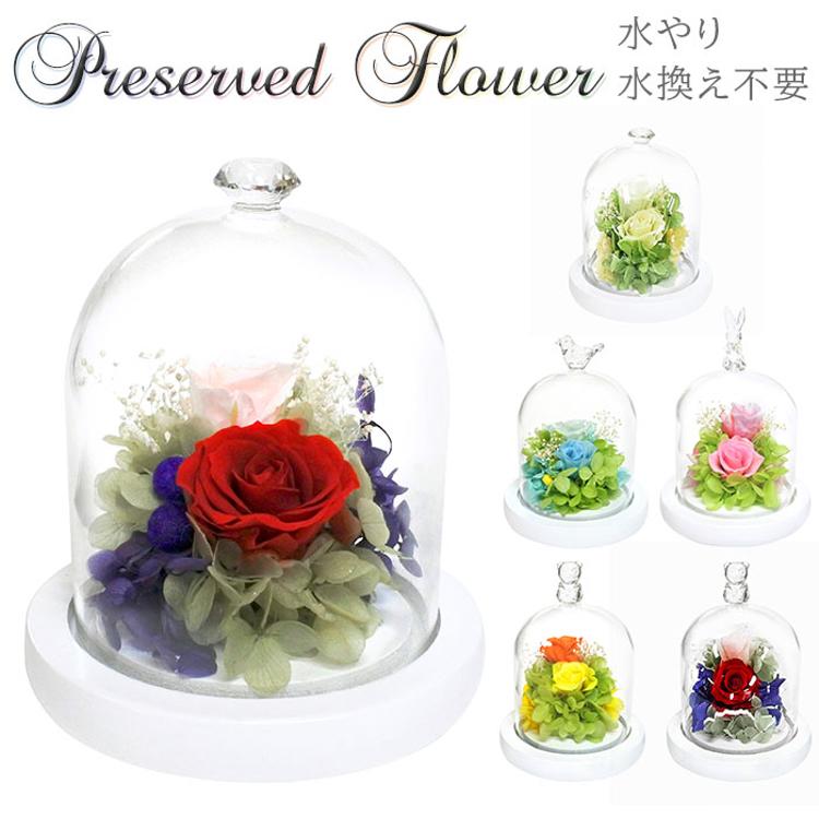 プリザーブドフラワー ガラスドーム 通販 モチーフドーム