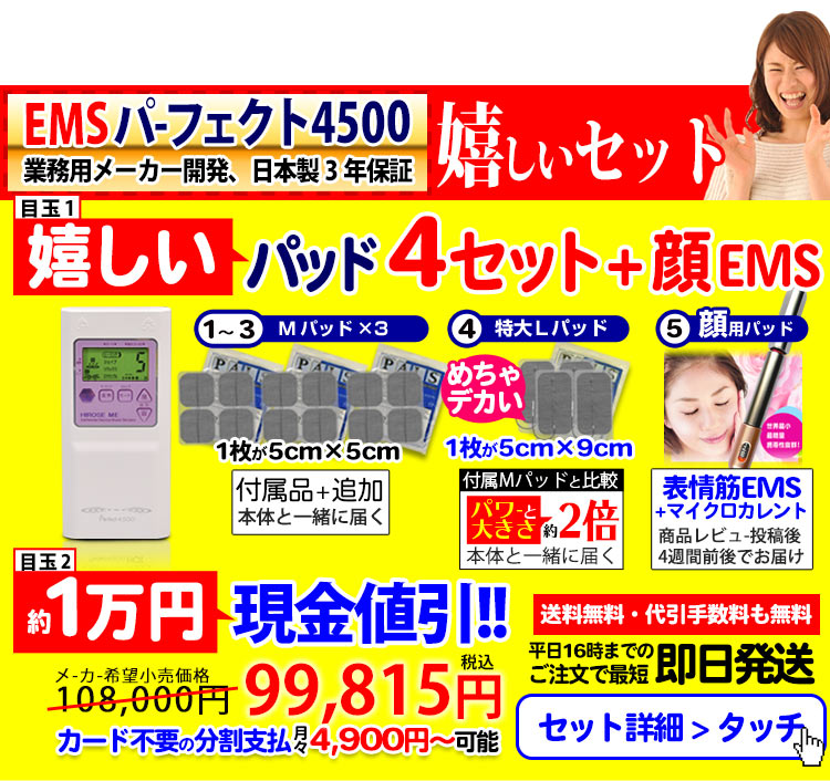 干渉波EMSマシン パーフェクト4500正規店《腹筋からバストまで》