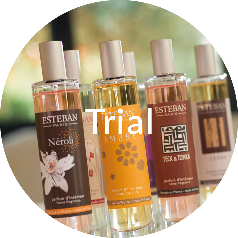 ホワイトティー by ウェスティン ハンド&ボディウォッシュ300ml – ESTEBAN