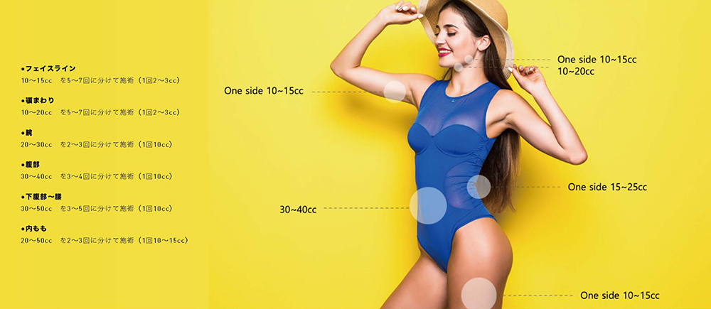 レモンボトル（10ml×5本）×5個セット 脂肪分解／脂肪溶解剤 - エステの