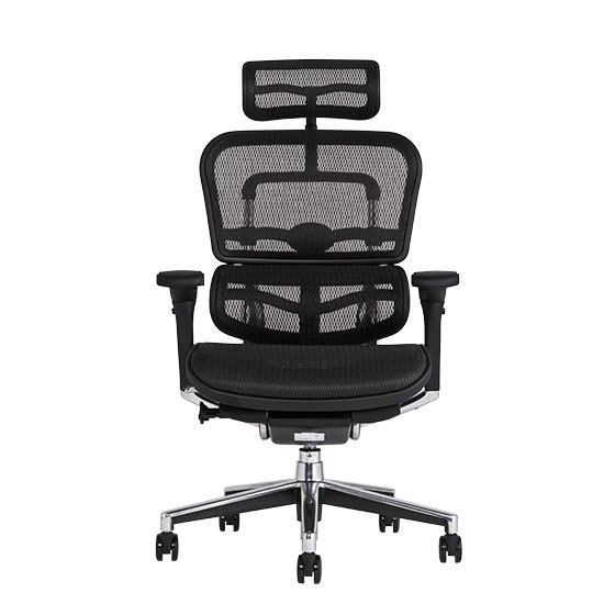 エルゴヒューマン ベーシック / ヘッドレスト有り【メーカー組み立て