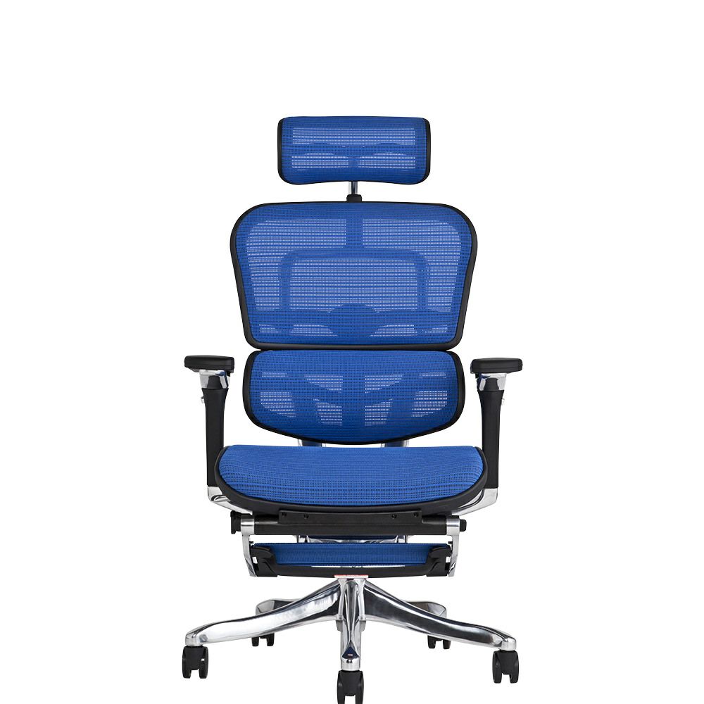 エルゴヒューマン プロ / オットマン内蔵型 / ヘッドレスト有り