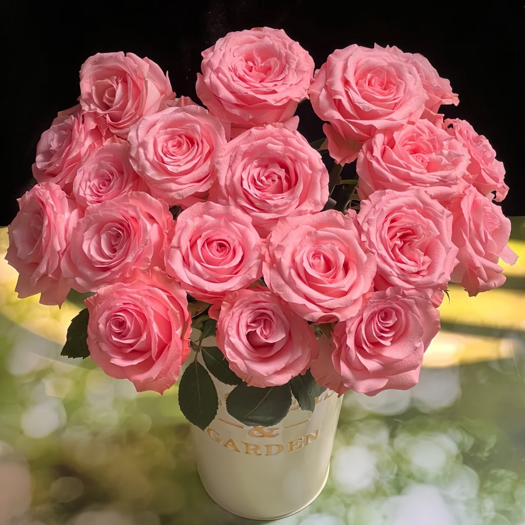 Diana Rose-戴安娜｜Chinese Cut Rose – Ergongzy Roses