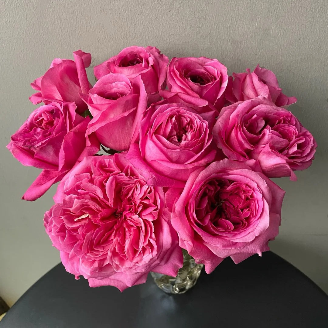 Hot X-pression Rose-火热印象｜Netherlands Cut Rose – Ergongzy Roses