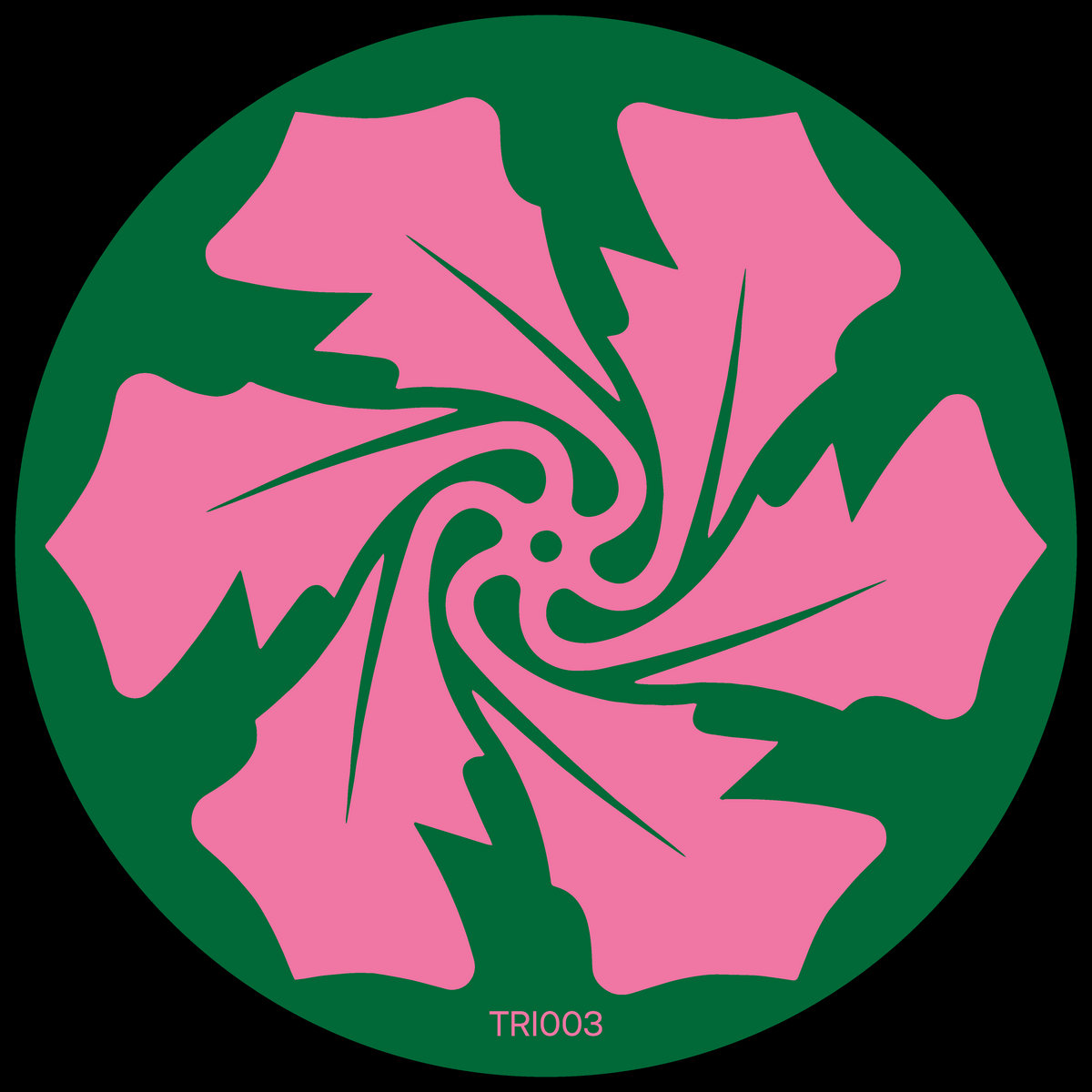 Echoing | Verlake | The Rose Island