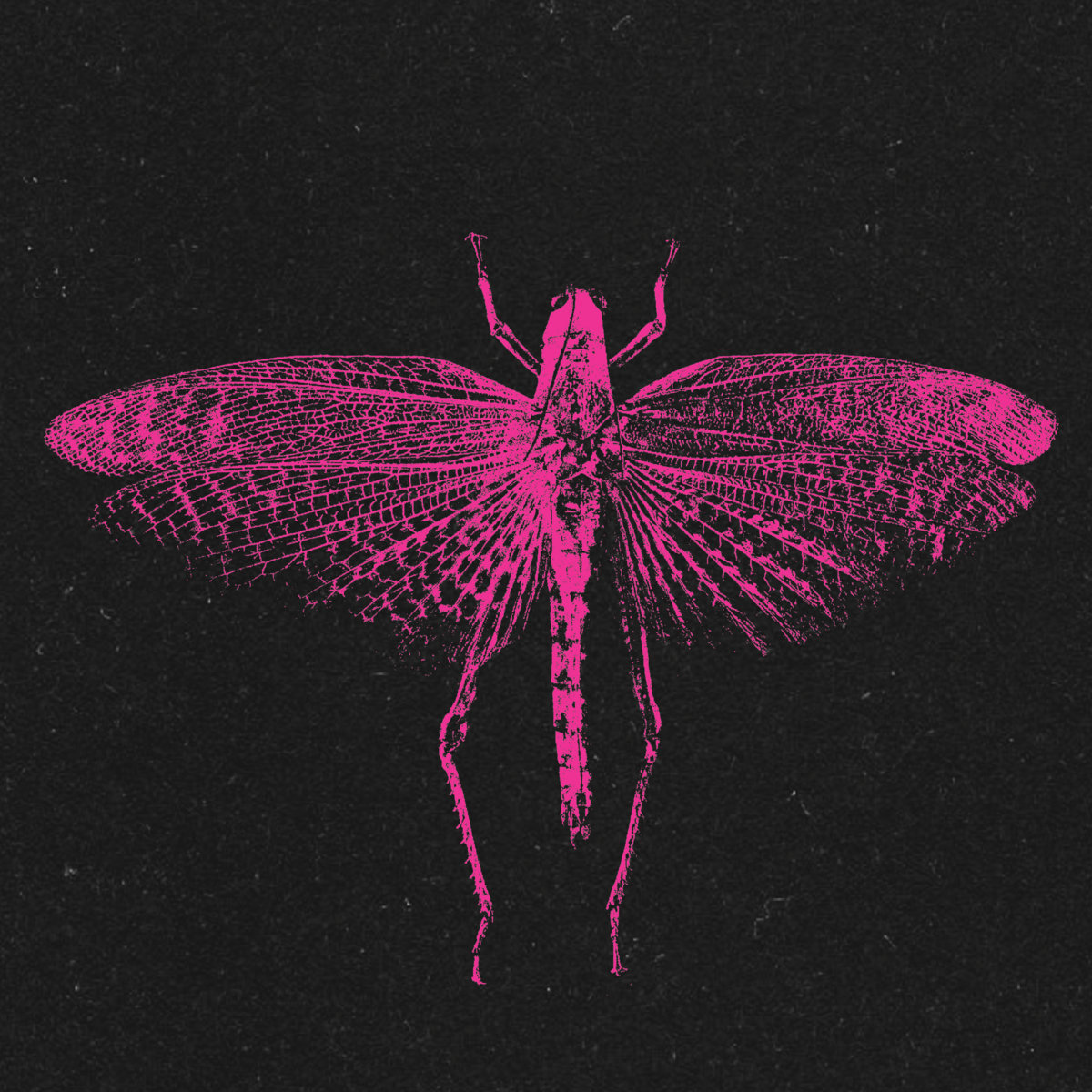 VOOO EP | SHXCXCHCXSH | mord