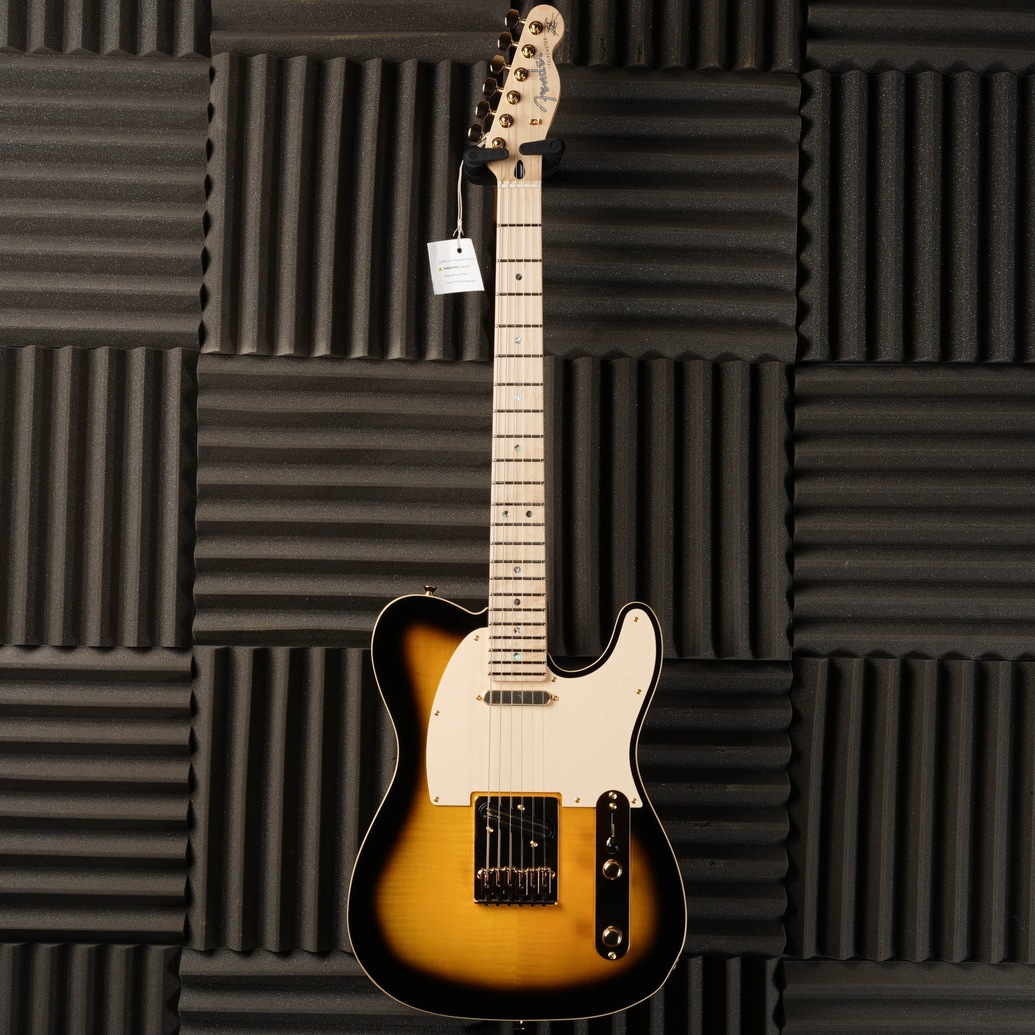 Fender Richie Kotzen Signature Telecaster MIJ - 2022 - Brown