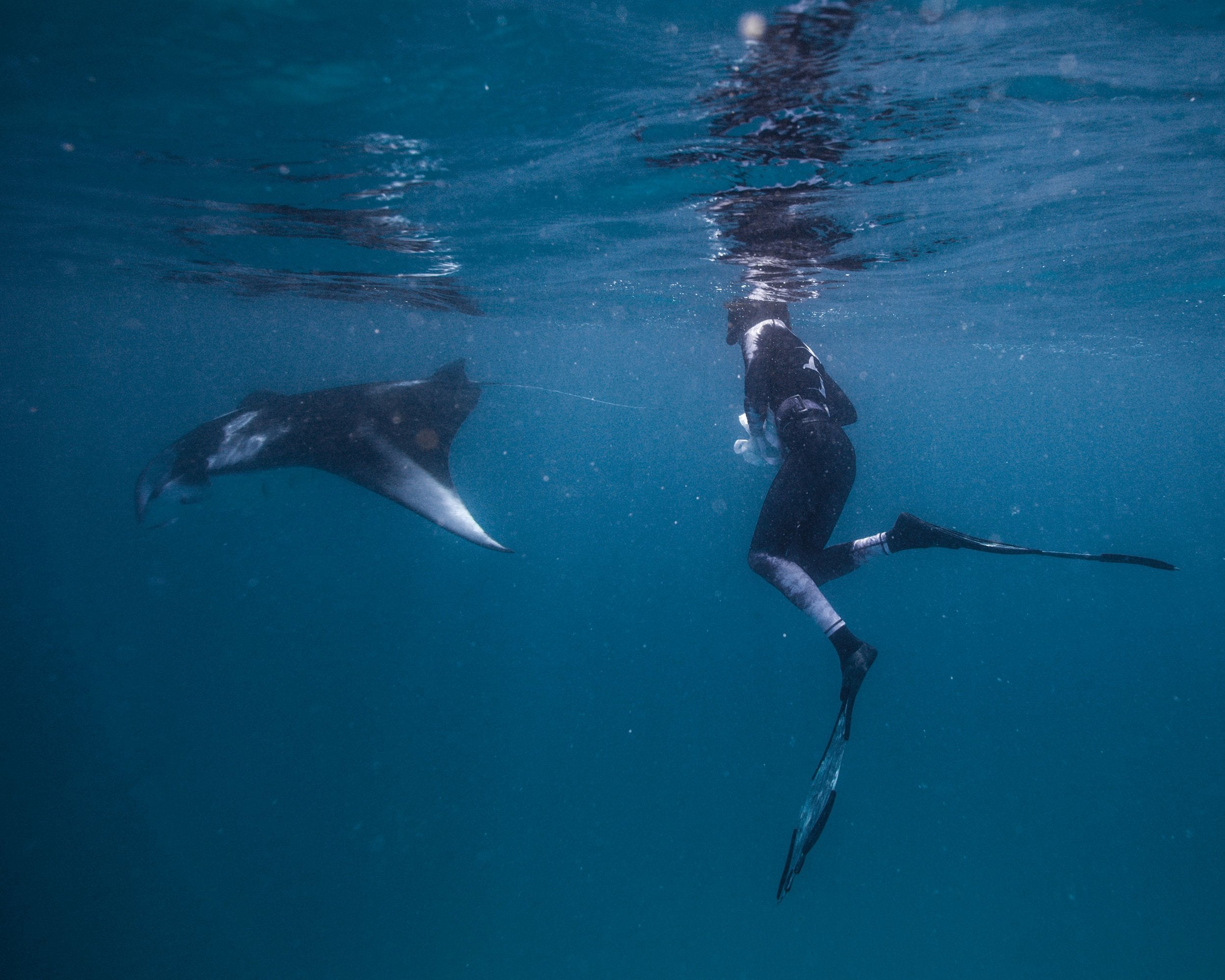 Black Manta Women's Rash Guard - Chevron Edition – Fishpeople Apparel