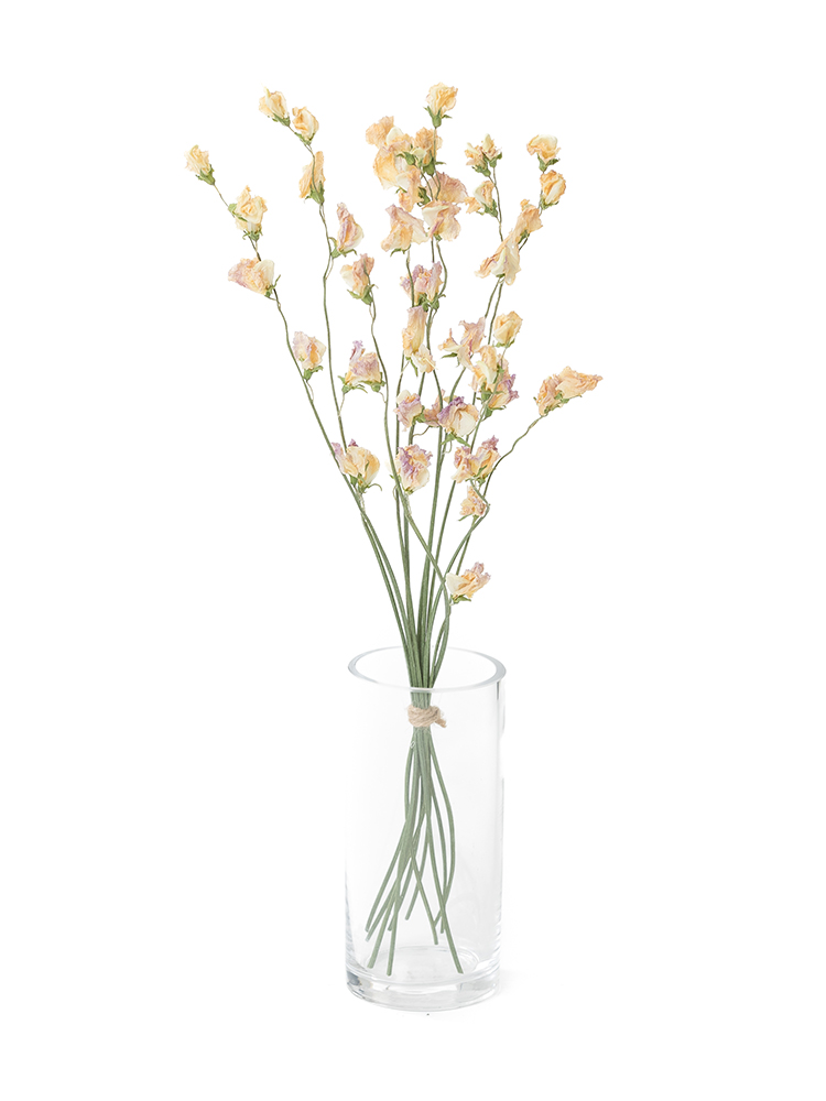 ドライ】スイートピー(薄ピンク) 品種おまかせ【40cm】｜Flower Smith