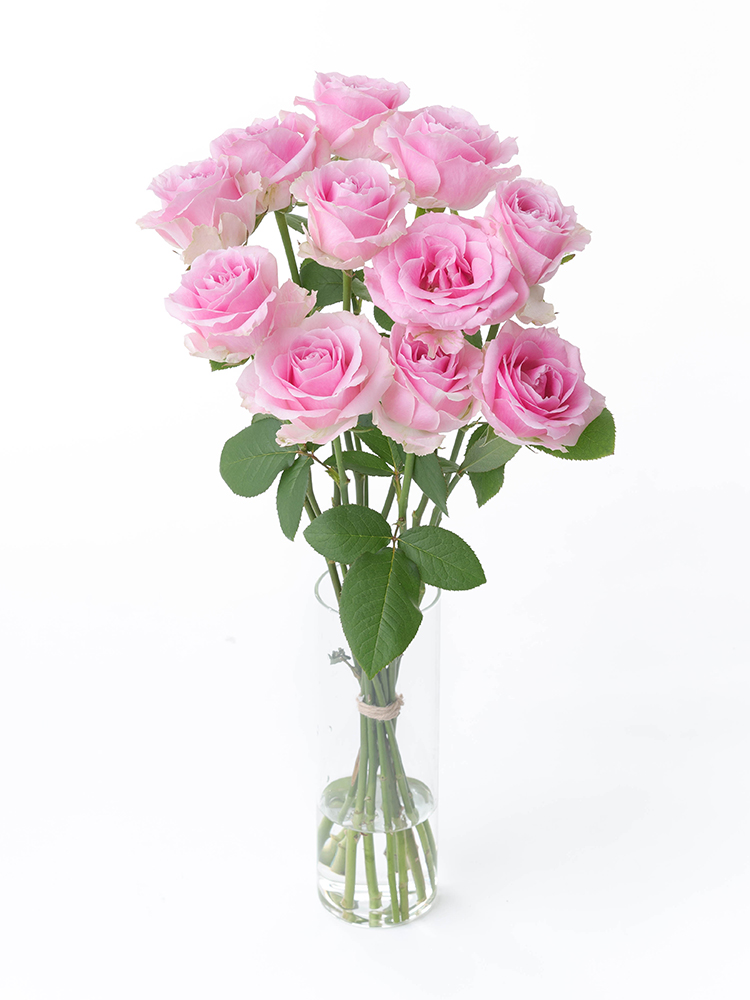 生花】バラ ピンクアヴァランチェ＋【60cm/愛知県】｜Flower Smith