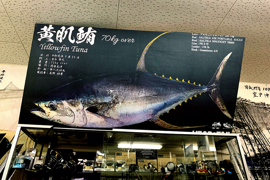 近年、大型連発！ 和歌山方面のキハダを狙え！「三重、和歌山のキハダ