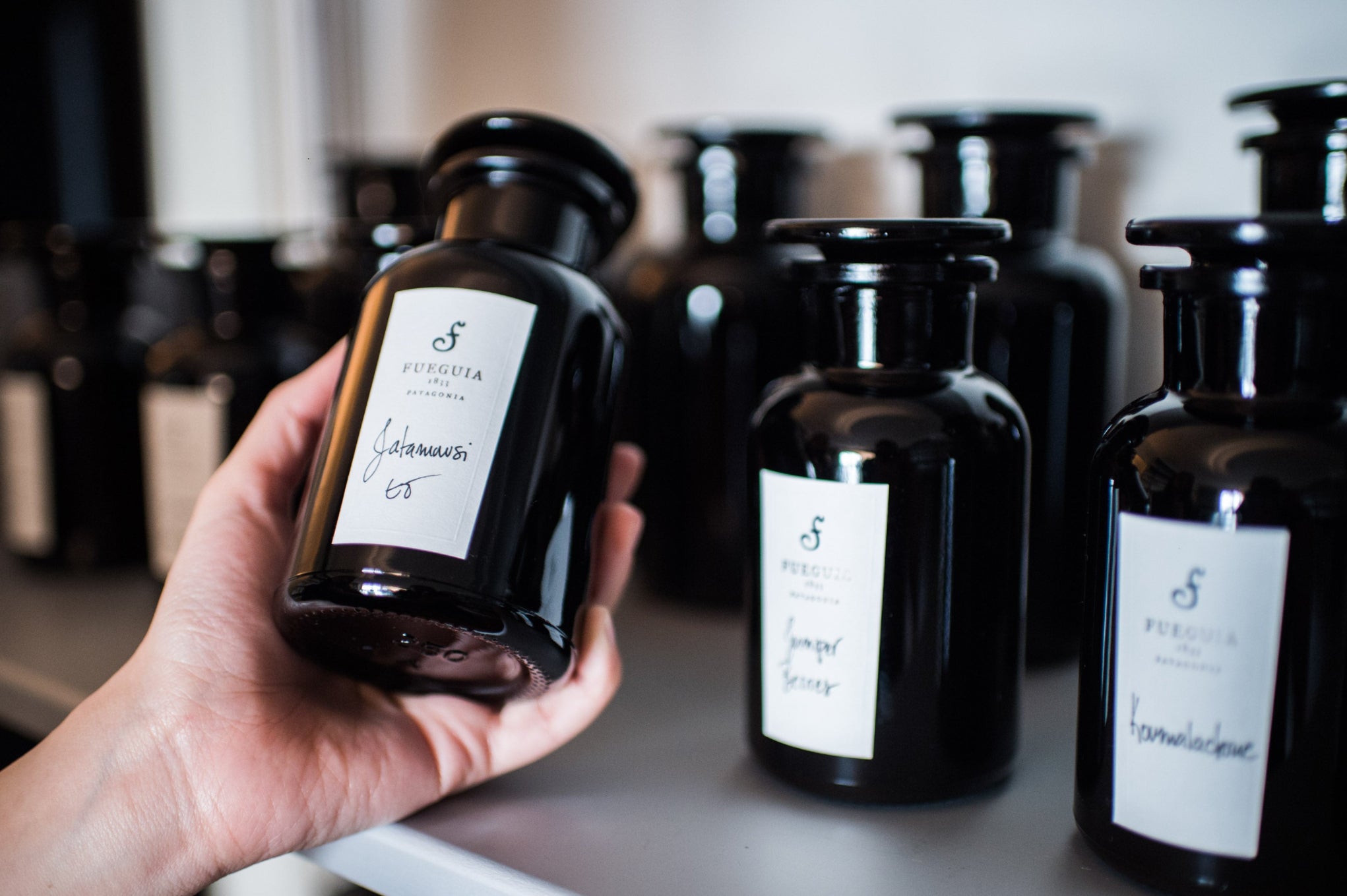 FUEGUIA 1833 | Composition | Autum in New York – FUEGUIA 1833