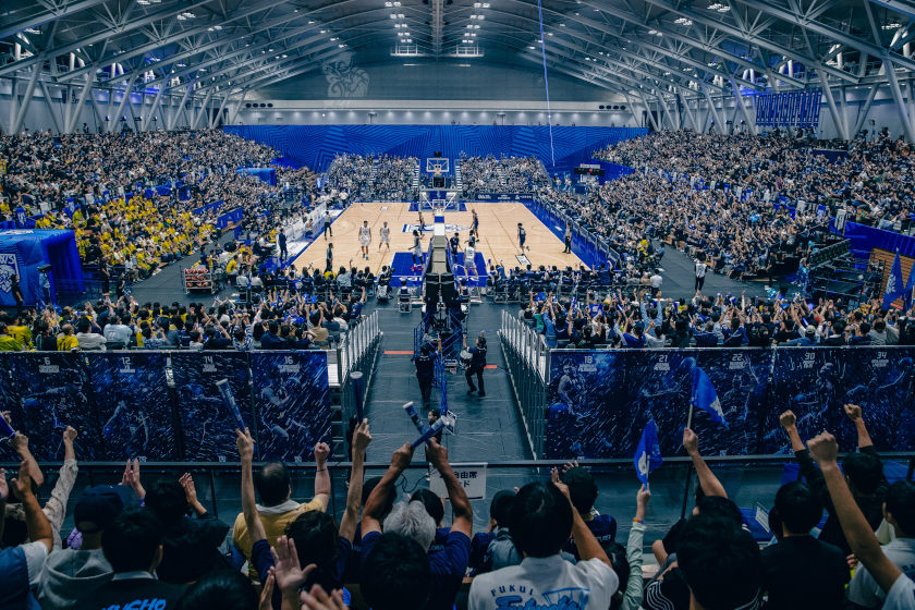 初心者必見、福井ブローウィンズの観戦ガイド！チケットの買い方から