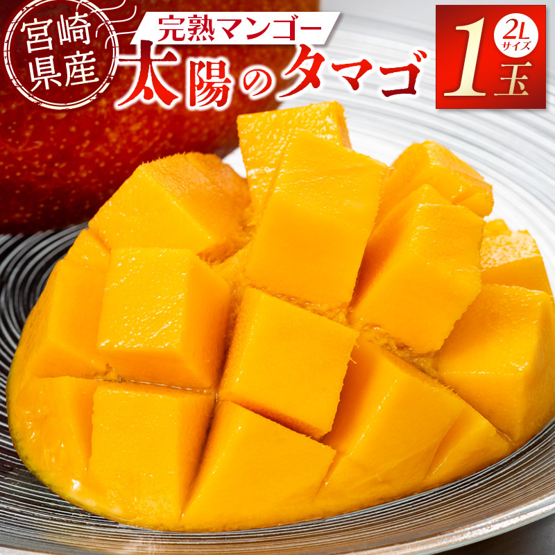 2026年発送先行予約》【数量・期間限定】宮崎特産品 宮崎県産完熟