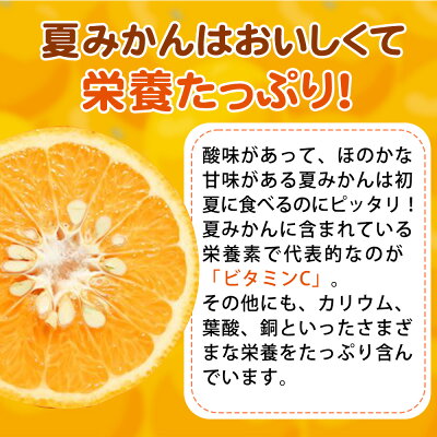 G7074_湯浅産 夏みかん 7.2kg｜マイナビふるさと納税