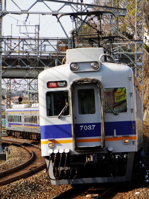 時代を駆け抜け50周年ッ!!! 南海7000系大特集ッ!!!!! v{^祝^}v: 風来坊